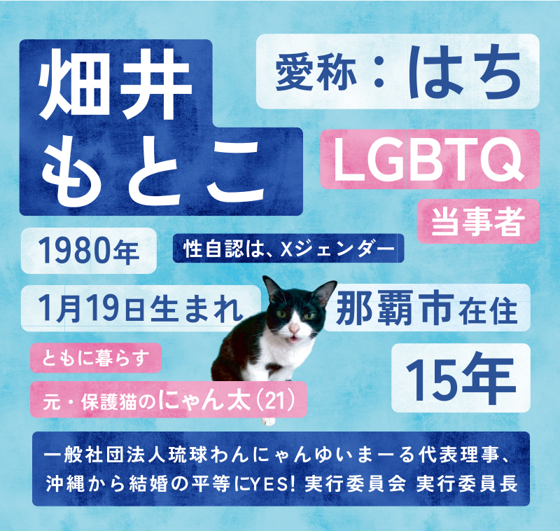 畑井もとこについて