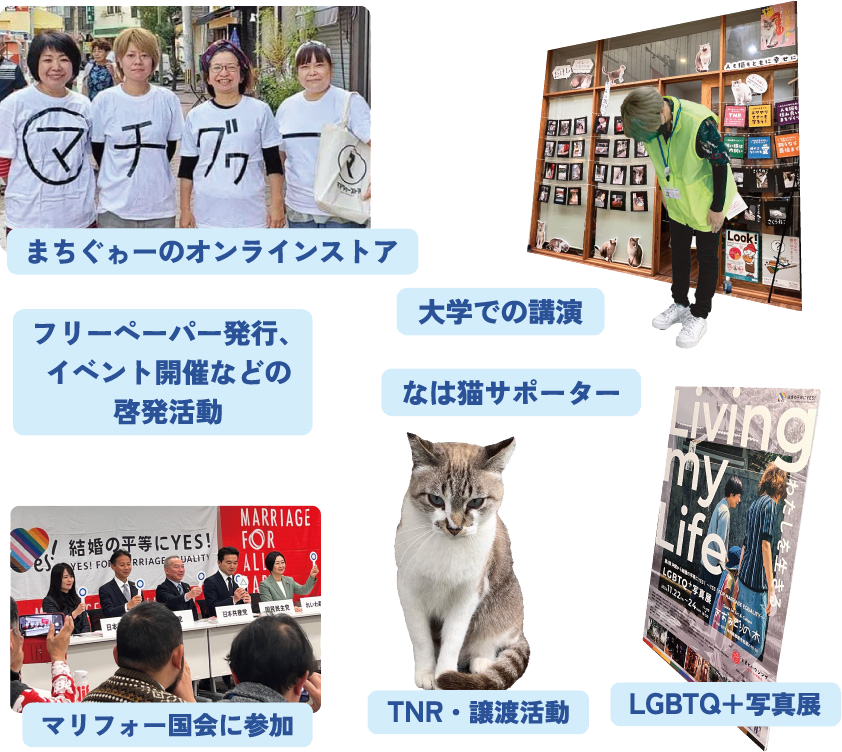 畑井もとこについて